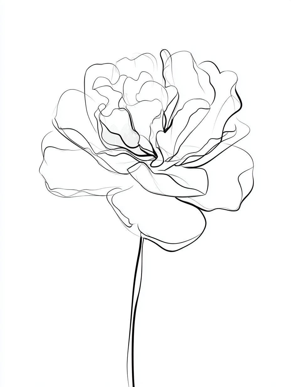 一幅简单优雅的茶花线条画
