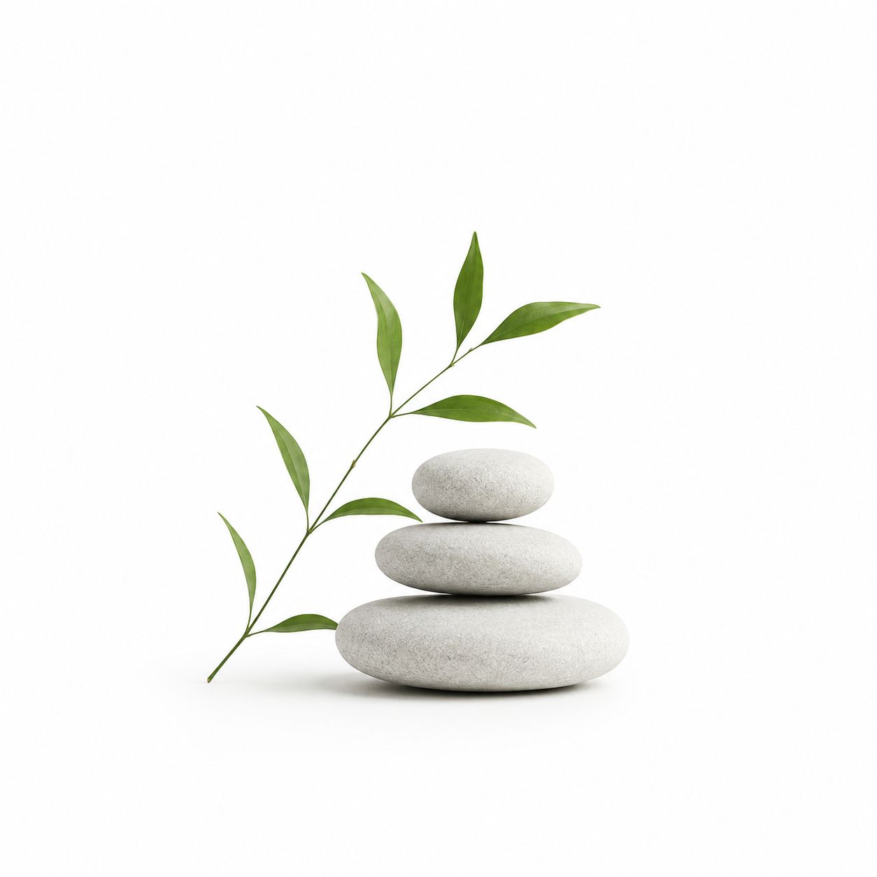 白色背景，极简风格，具有恢复感