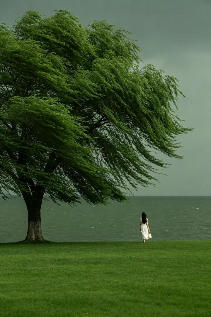 A woman in black and white walks slowly by the lake on a cloudy day