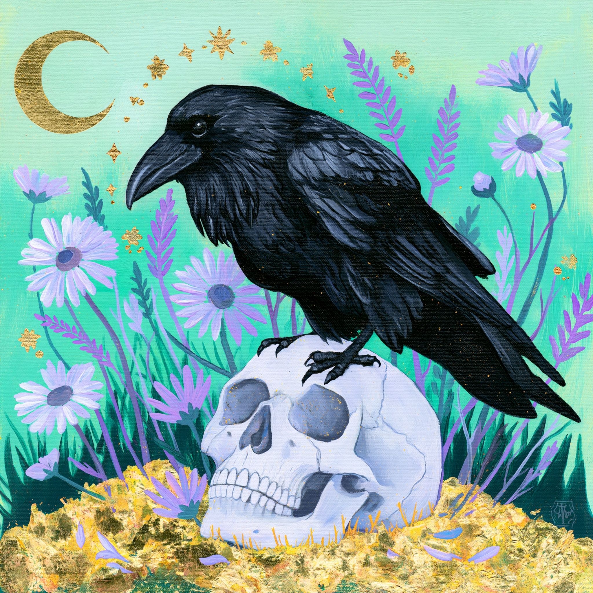 A raven on a white human skull