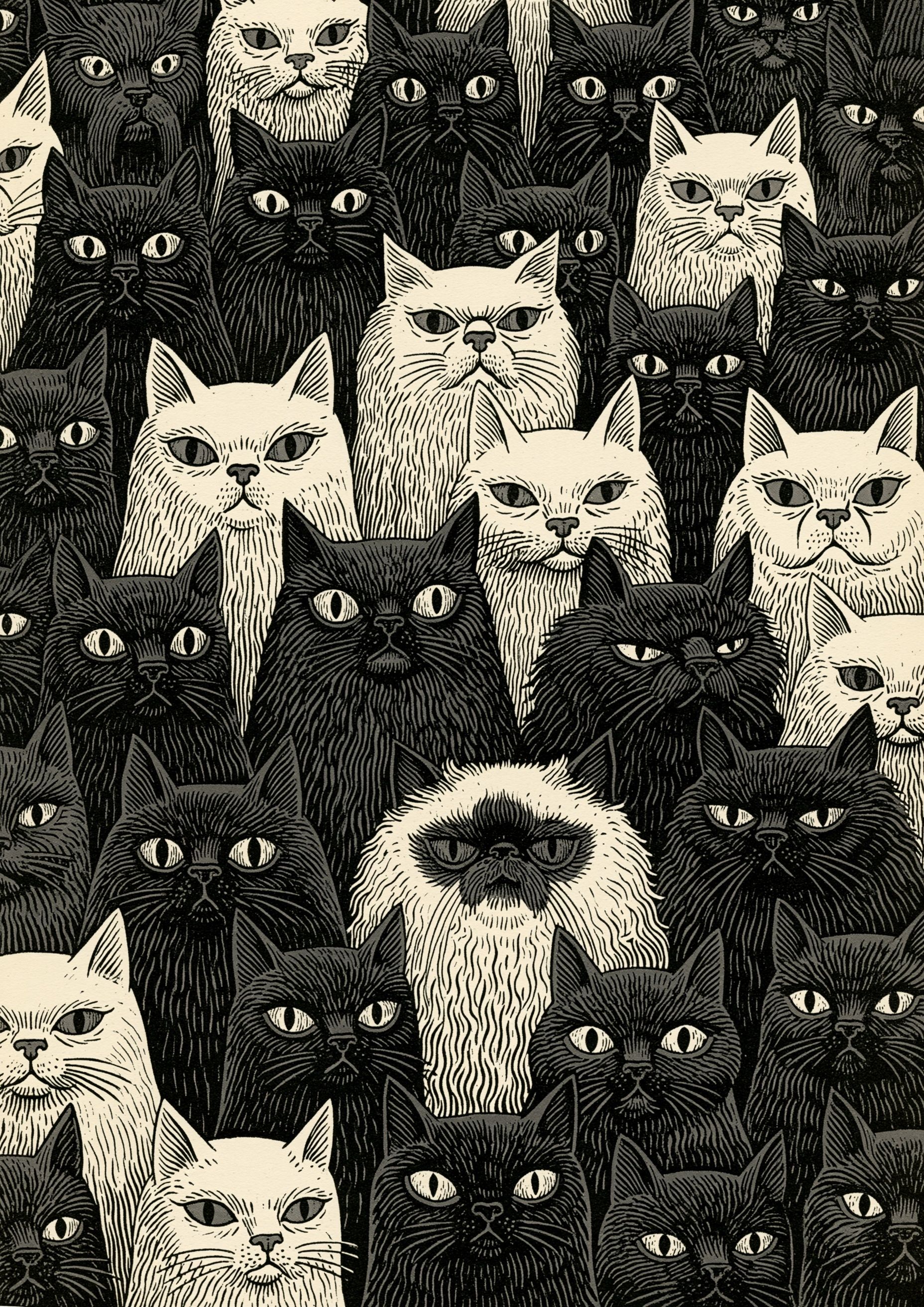 Patrón infinito de gatos blancos y negros