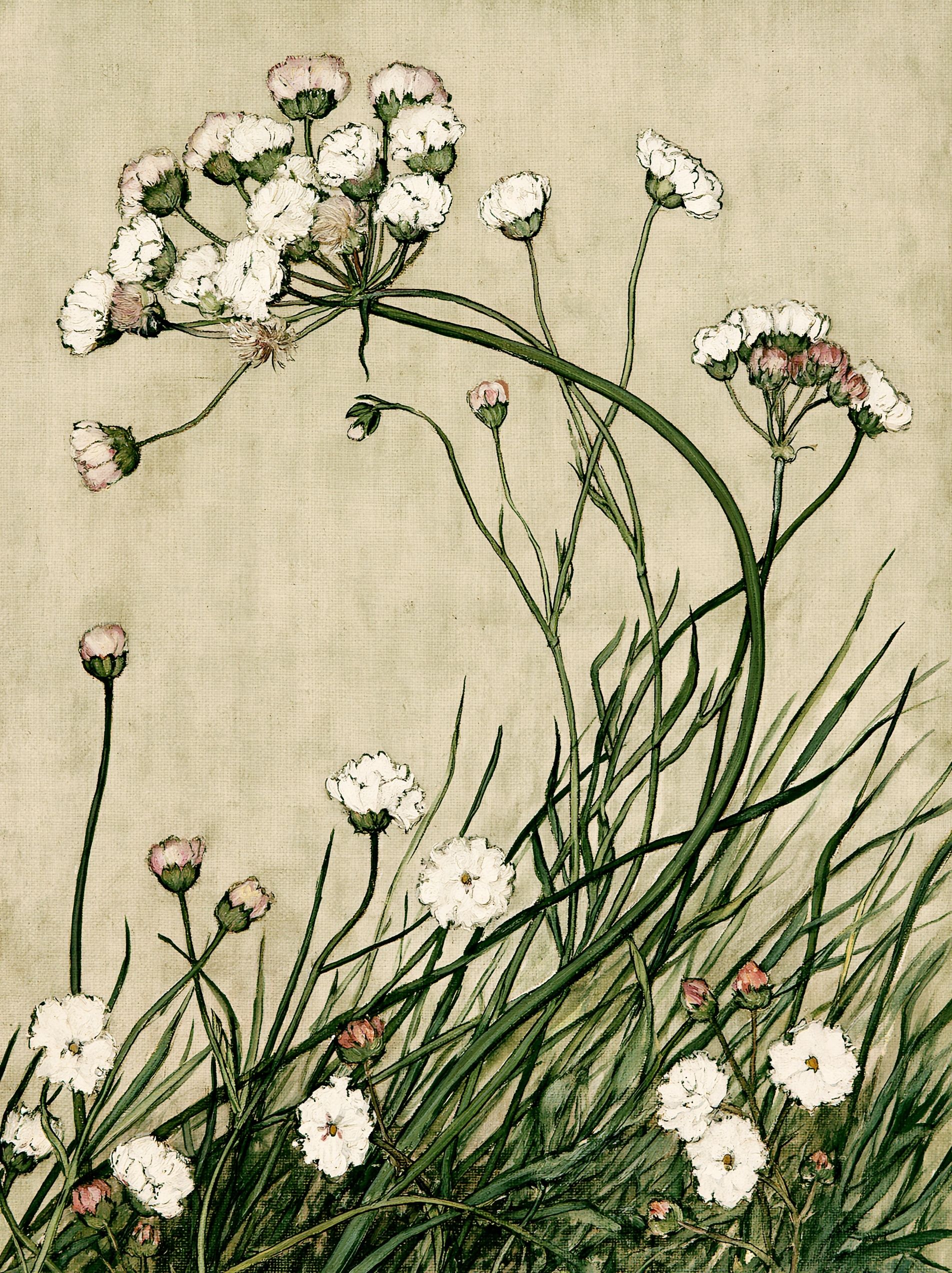 Une étude botanique tonale de délicates fleurs sauvages dans une palette monochromatique de couleur lin