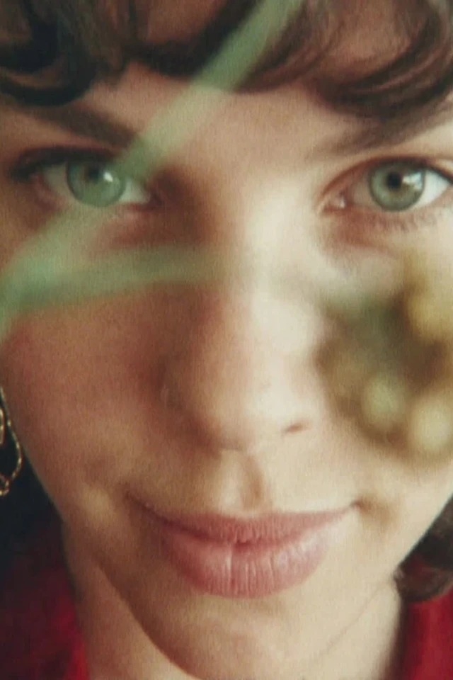 Soft focus, warm tones, vintage film texture
