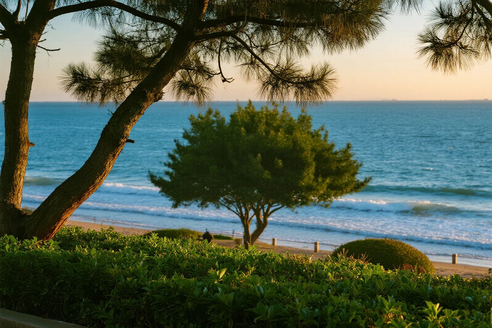 El parque junto al mar es un paraíso romántico de verano