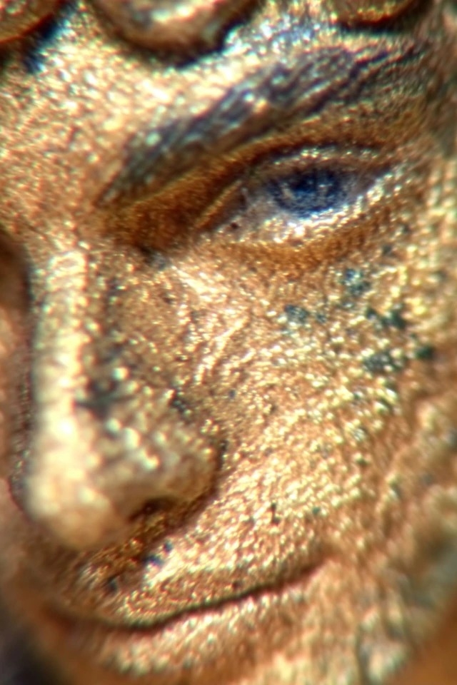 Extreme Makrofotografie mit metallic golden-bronze Glanz, geeignet für Luxus-Kosmetik-Werbung