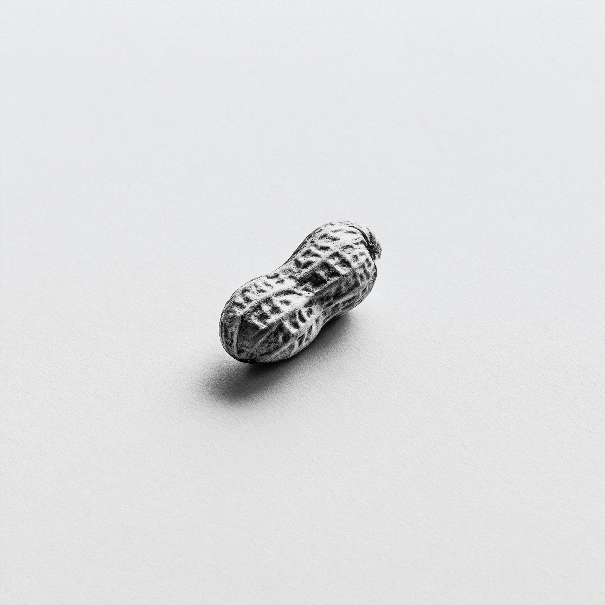 一幅极简单色拼贴画，背景纯白且无阴影，展示了一颗花生