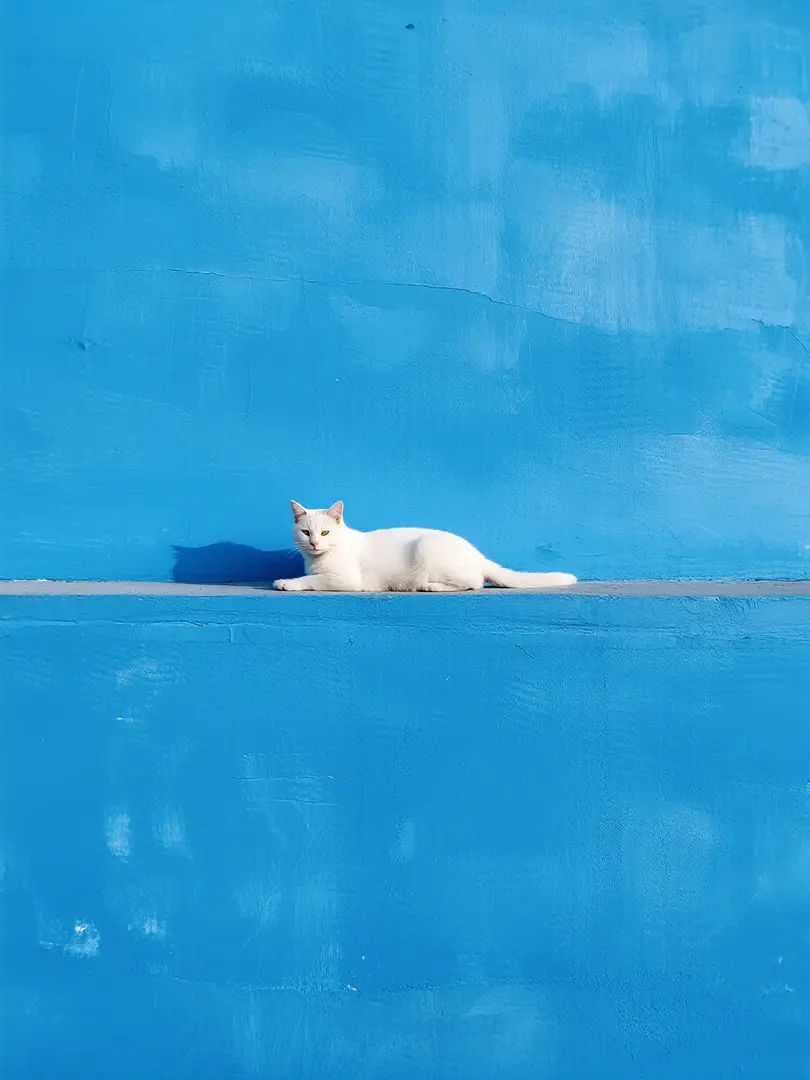 白い猫が青い壁の横線の近くにいる