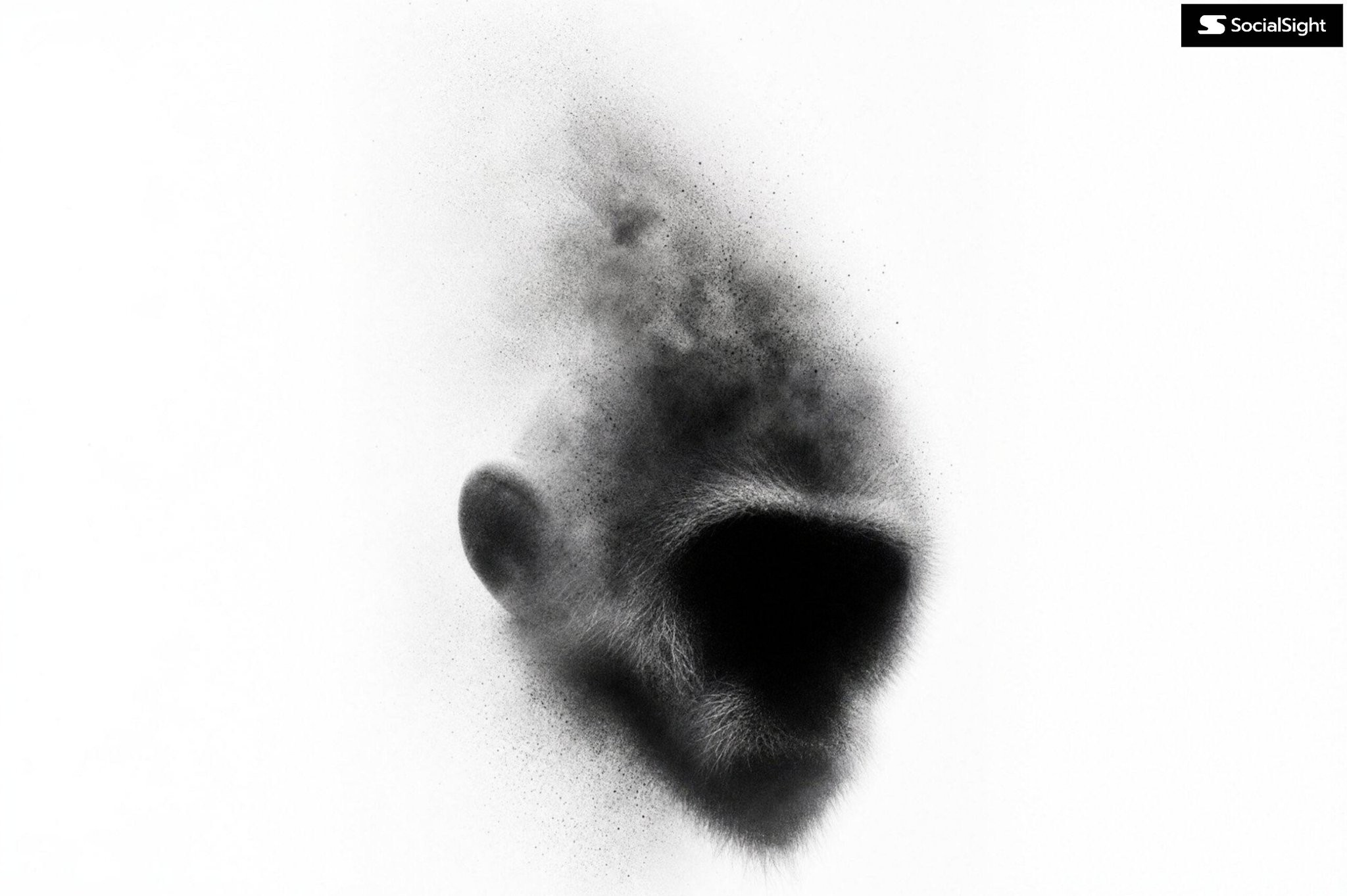 Esta imagem monocromática apresenta o rosto de um urso polar em um estilo etéreo que desfoca as fronteiras entre fotografia e expressionismo abstrato