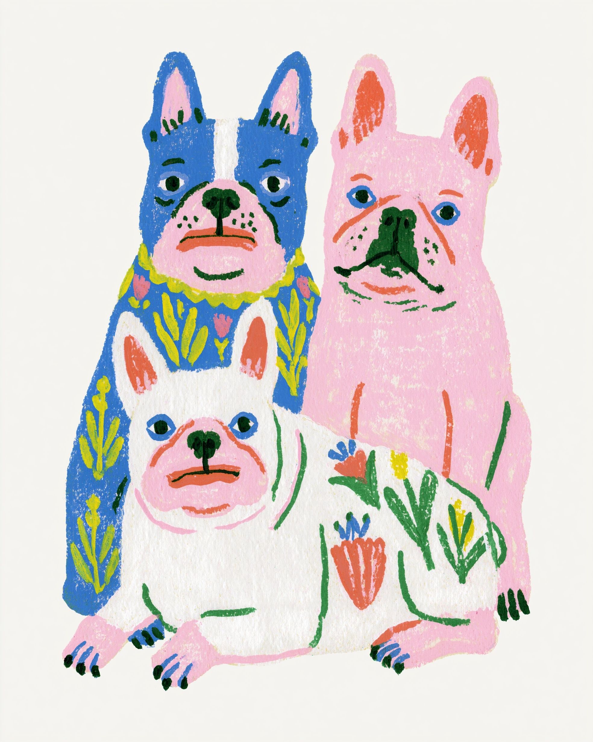Illustrations à la gouache de deux bouledogues français, isolés sur un fond blanc, contours nets, style plat, maximum de 4 couleurs.