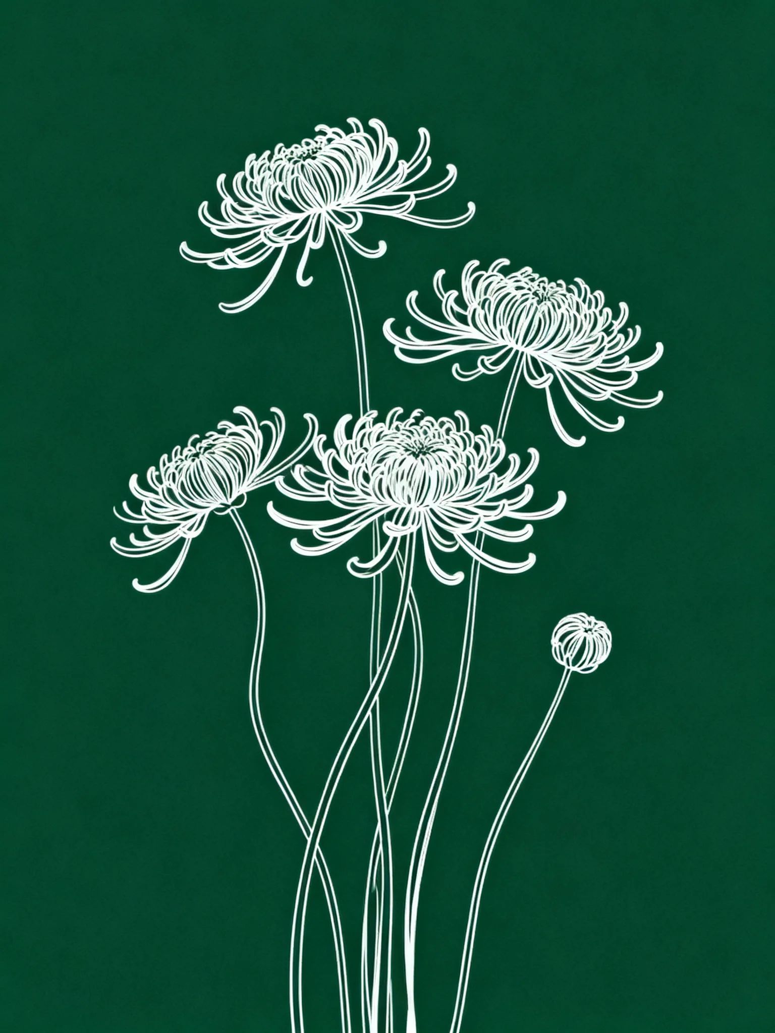 Artwork showcasing chrysanthemums in fine lines on a dark green background.