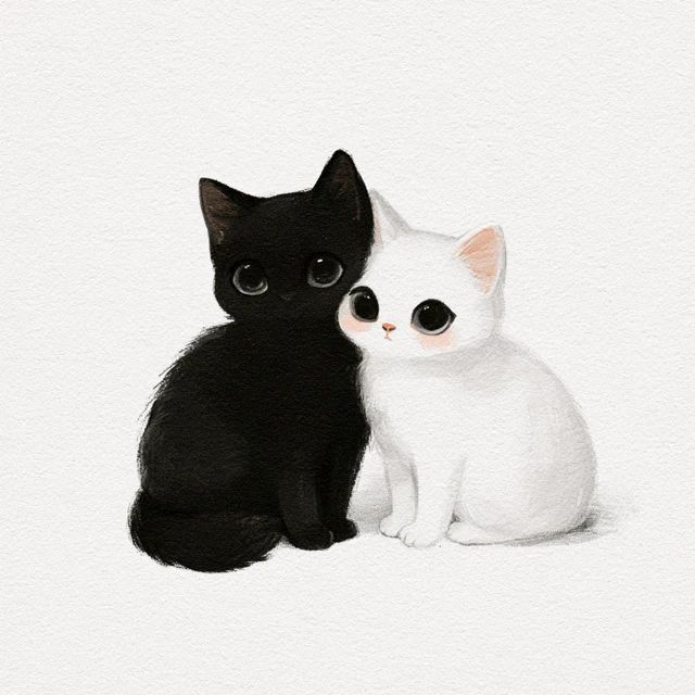 Black cat and white cat couple cartoon character
