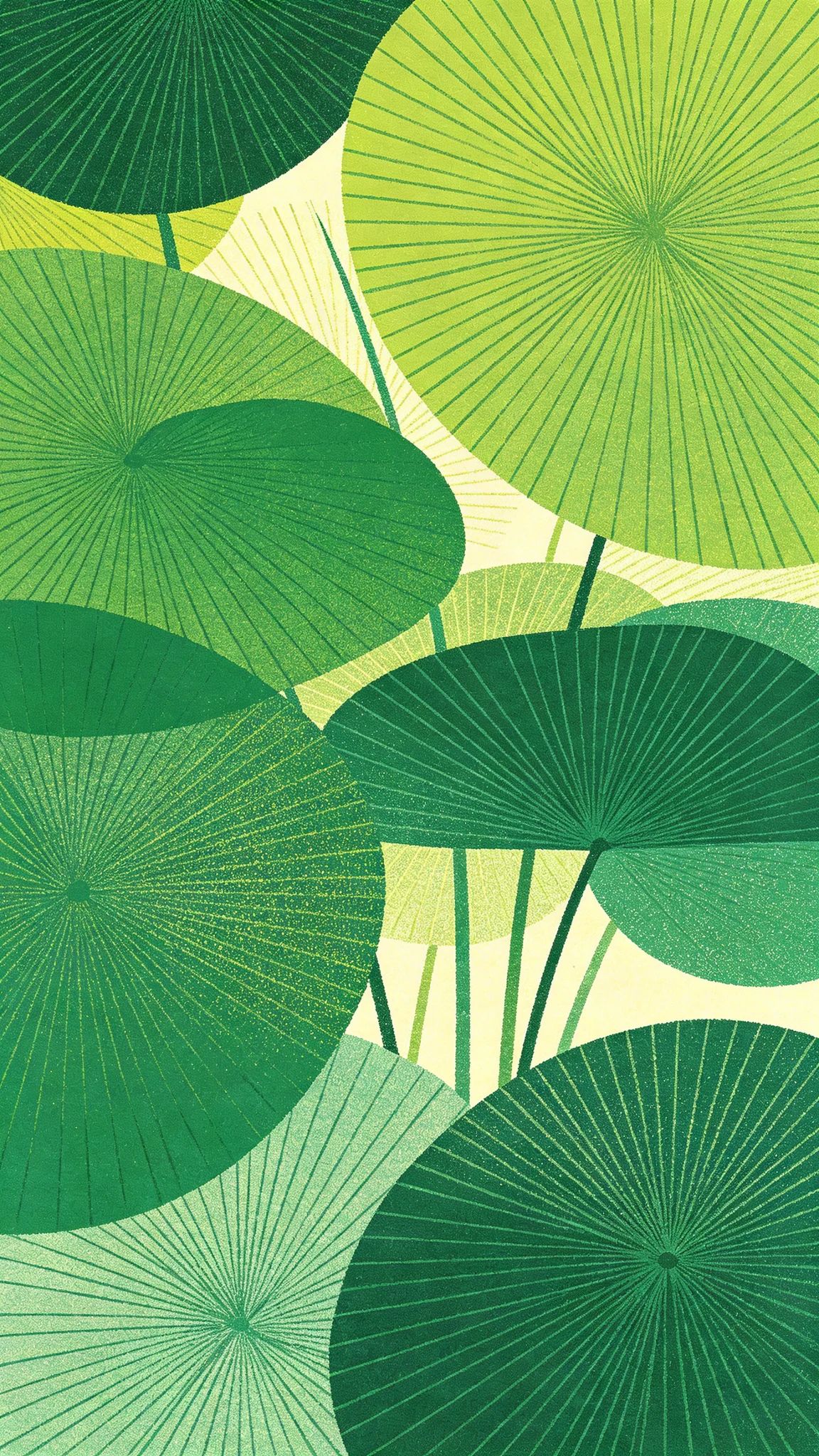 Minimalistic art illustration style showcasing the dreamy and healing beauty of round okra leaves in green.