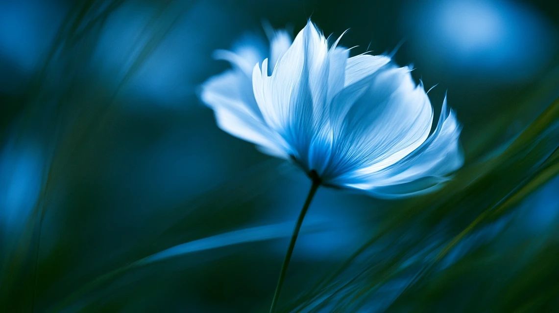 A macro image of a beautiful flower in a grass field